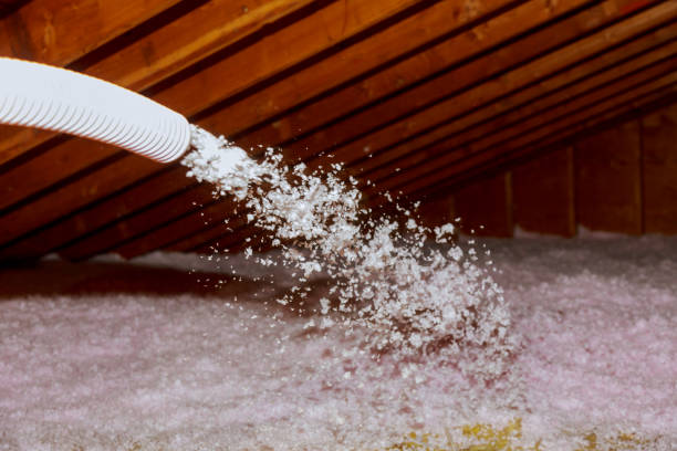 Best Insulation Installation Services in Ddanelle, AR