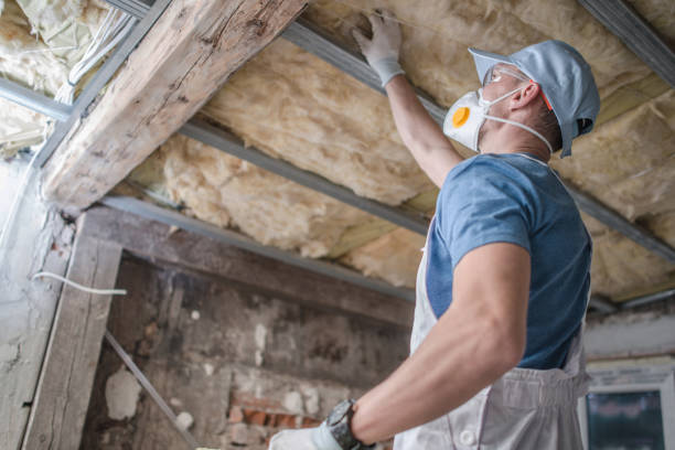 Best Commercial Insulation in Ddanelle, AR