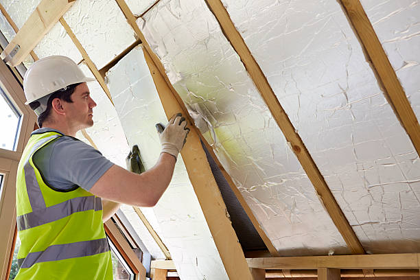 Best Insulation Installation Services in Ddanelle, AR