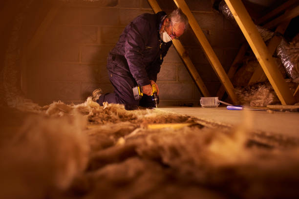 Best Insulation Maintenance and Repair in Ddanelle, AR